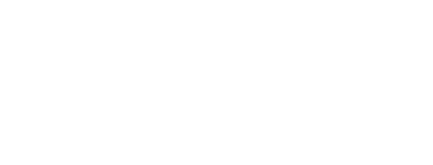 Brinks Authorized Dealer Brinks Authorized Dealer